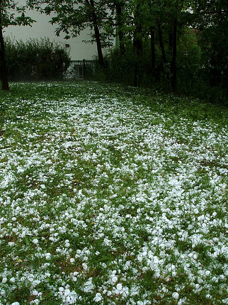 Tập_tin:A_field_of_hailstones.jpg