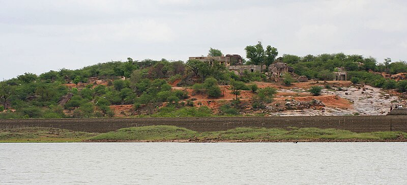 File:A view from Pocharam Lake W IMG 0117.jpg