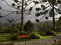 Abernéssia, Campos do Jordão - SP, Brazil - panoramio.jpg