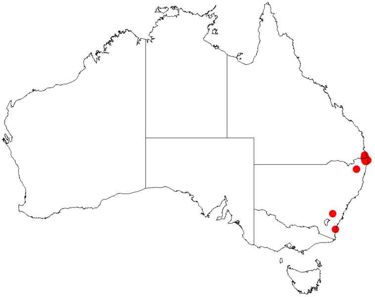 File:Acacia oritesDistMap659.png