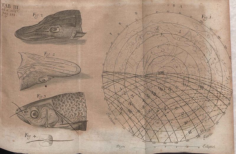 File:Acta Eruditorum - III zoologia geografia, 1687 – BEIC 13393778.jpg