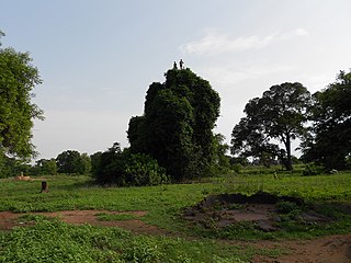 <span class="mw-page-title-main">Yirol East County</span> County in Lakes State, South Sudan