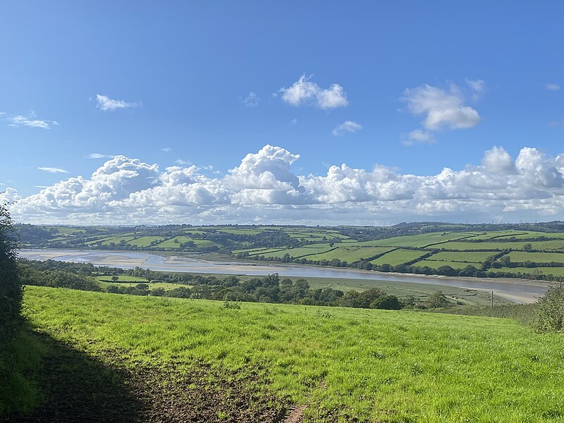 File:Along Afon Tywi (geograph 7584815).jpg