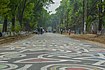 Alpona on Jahangirnagar University campus (2).jpg