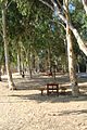 Alsos Forest pique nique table in Nicosia Republic of Cyprus.jpg