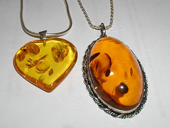Pendants made of amber. The oval pendant is .mw-parser-output .frac{white-space:nowrap}.mw-parser-output .frac .num,.mw-parser-output .frac .den{font-size:80%;line-height:0;vertical-align:super}.mw-parser-output .frac .den{vertical-align:sub}.mw-parser-output .sr-only{border:0;clip:rect(0,0,0,0);height:1px;margin:-1px;overflow:hidden;padding:0;position:absolute;width:1px}52 by 32 mm (2 by 1+1⁄4 in).