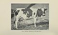 Annual report of the Illinois State Dairymen's Association" (19178361549).jpg