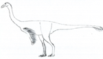 Anserimimus LM. png 