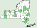 Apocynum × floribundum NY-dist-map.png