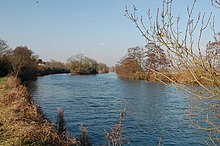 The River Thames near to Tilehurst. Appletree Eyot can be seen in the distance.