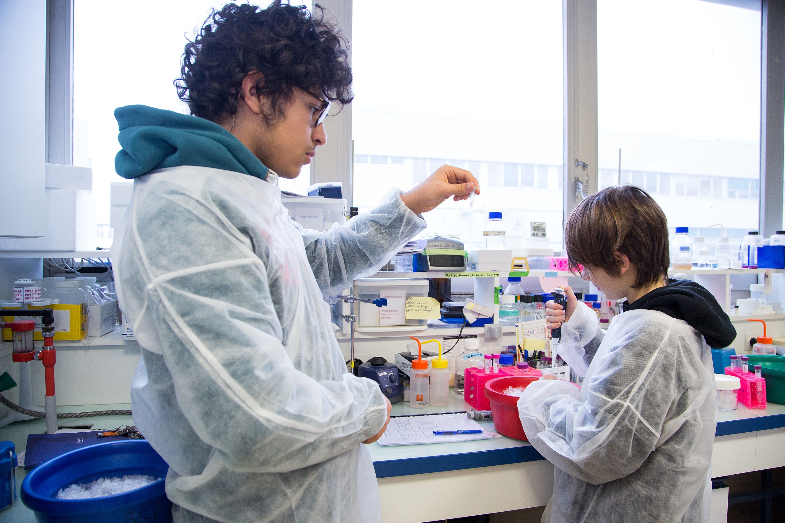 File:Apprentis Chercheurs dans les laboratoires de recherche de l'Ecole  polytechnique (33725899894).jpg - Wikimedia Commons