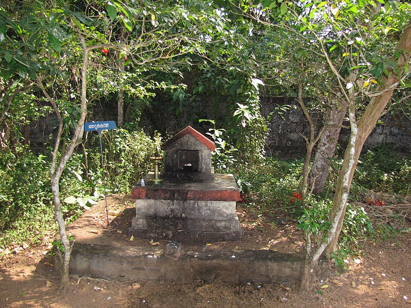 File:Arukola idol in Madappally Devi Temple.JPG