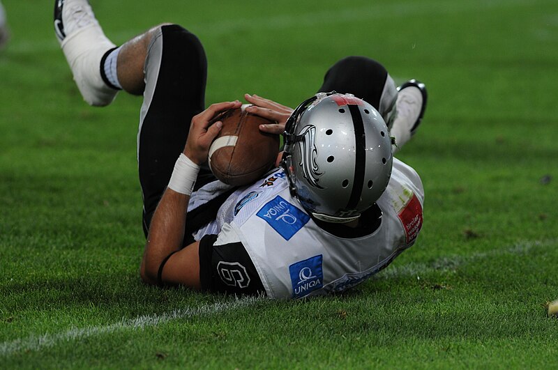 File:Austrian Bowl 2013-109.JPG