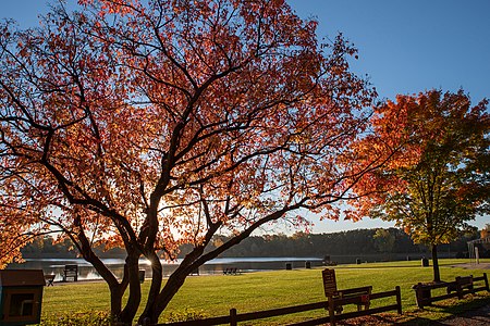 Autumn at Spencer Park