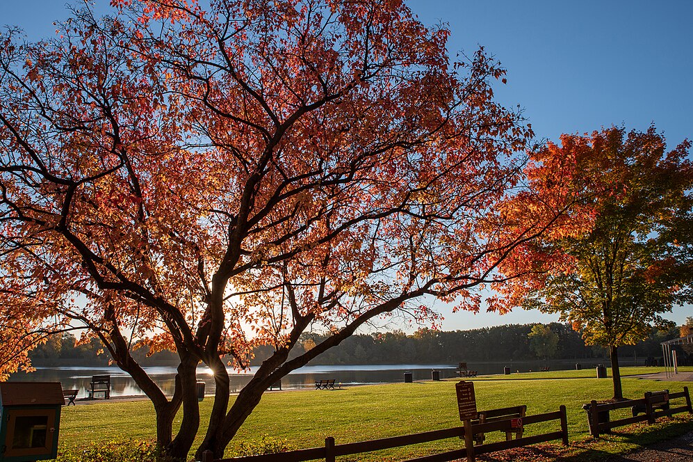 Rochester Hills, Michigan-avatar