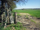 Inscribed with 'BB 26' (Bexhill Borough). At the time of the incorporation of Bexhill Borough in 1902, the boundary was marked out by 63 large stones placed along the perimeter from Normans Bay on the west, through Lunsford Cross on the north of the town and Glyne Gap on the east, also the Hastings county borough boundary.Not in original position.