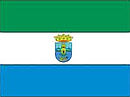 Vlag van Laredo