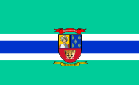 Bandera del Municipio Girardot