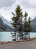 Thumbnail for File:Banff National Park (AB, Canada), Lake Louise -- 2022 -- 2206.jpg