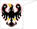 Banner van Přemyslid family.svg