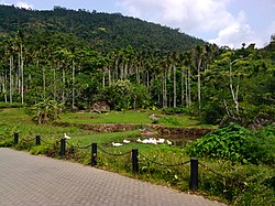 海南呀诺达雨林文化旅游区（英语：Yanoda）