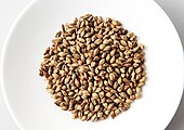 Barley grains 3.jpg