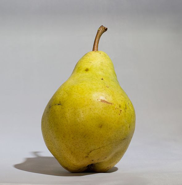 File:Bartlett pear.jpg