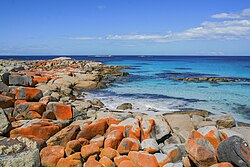 Orange-hued granite rocks in Bay of Fires