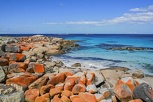 Orangefarbene Granitblöcke in Bay of Fires