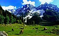 Beauty-of-Kashmir.jpg