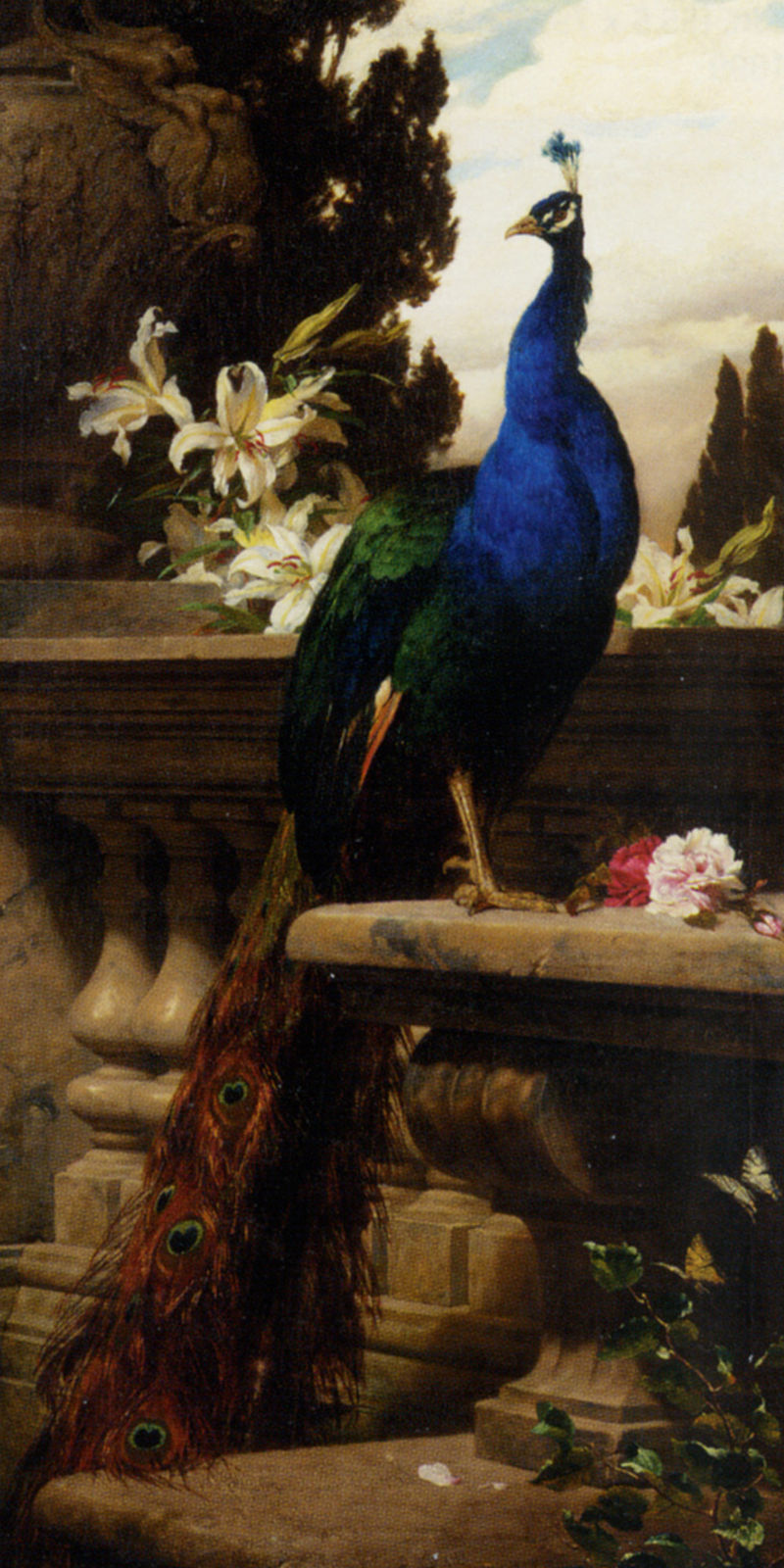 Benczúr A Peacock in a Classical Landscape with Lillies and Roses.jpg