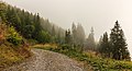 * Nomination Mountain trip from Tschiertschen (1350 meters) via Ruchtobel to Löser (1680 meter). The mist is lifting. --Famberhorst 08:00, 10 November 2017 (UTC) * Promotion Good quality. --Jacek Halicki 09:23, 10 November 2017 (UTC)