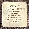 image=https://commons.wikimedia.org/wiki/File:Bertha_Samson.jpg