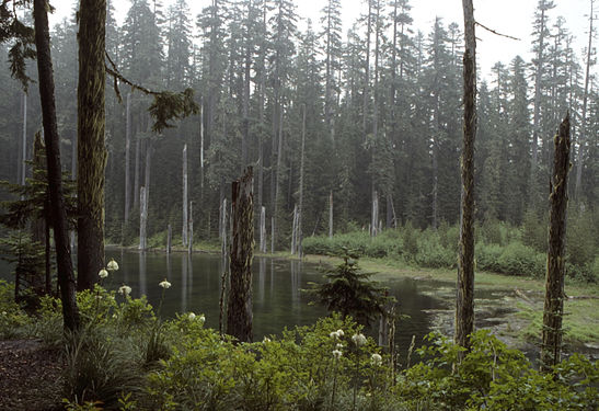 Blue Lake In Washington State - USA