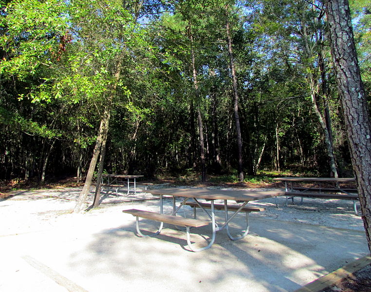 File:Boat House Rain Shelter Picnic Area Carvers Creek SP NC 5531 (9715761281).jpg