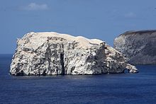 Large rock in the ocean with a large number of birds visible on its surface