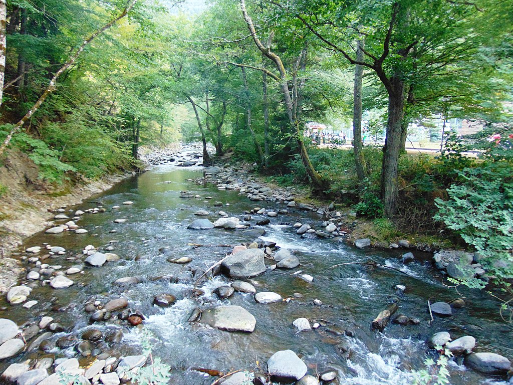 File:The Borjomula River in the Borjomi Park 2.JPG - Wikimedia Commons