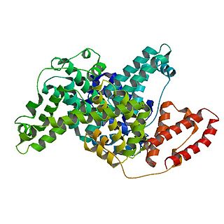 Bovine serum albumin Serum albumin protein derived from cows