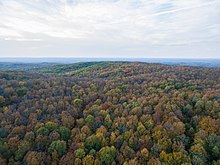 Briar Hill in October 2018 Briar Hill in Autumn.jpg