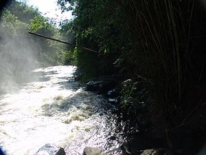 Ponte Pêncil Rio Jacaré Pepira