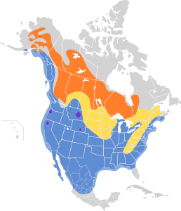 Bucephala albeola map.svg