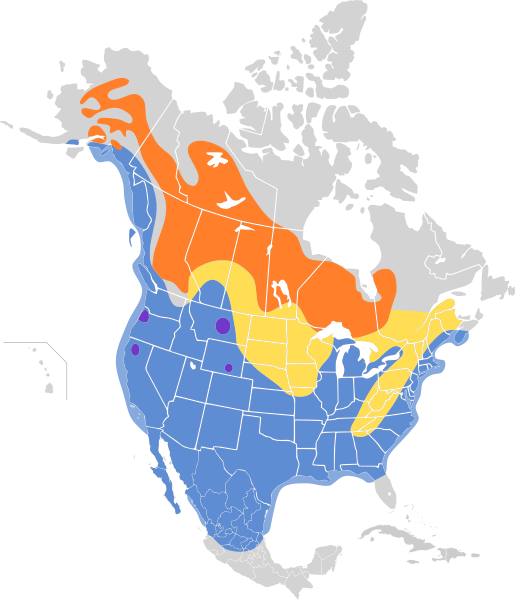 File:Bucephala albeola map.svg