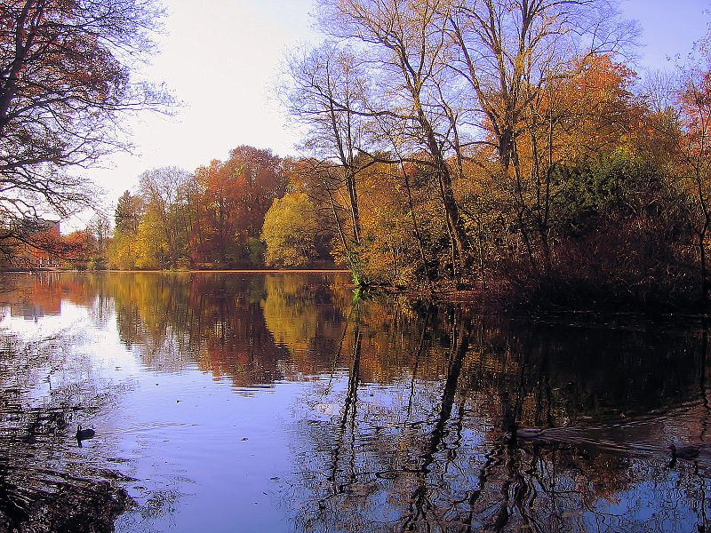 File:Bunter herbst10.jpg