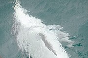 오스트레일리아 빅토리아 주의 필립항 만에서 물살을 가르는 부르난큰돌고래