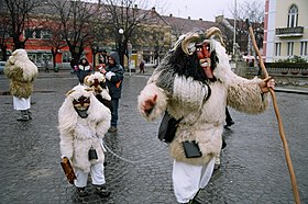 Šokci en masques traditionnels célébrant la fin de l'hiver, Mohács, février 2006.