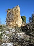 Miniatura per Castell de la Vall d'Ariet