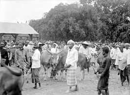 Veemarkt in Masbagik (1929).