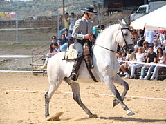 Exhibición de doma vaquera en el Rodeo de ganado