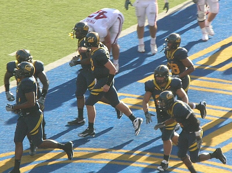 File:Cal offense after scoring TD at 2008 Big Game.JPG