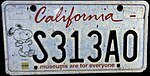 California 2017 Museums Are For Everyone license plate Snoopy.jpg